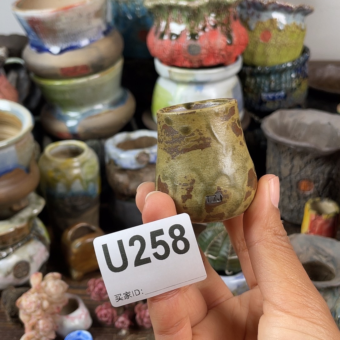 默认微次 跨年福利 坛子姐花盆