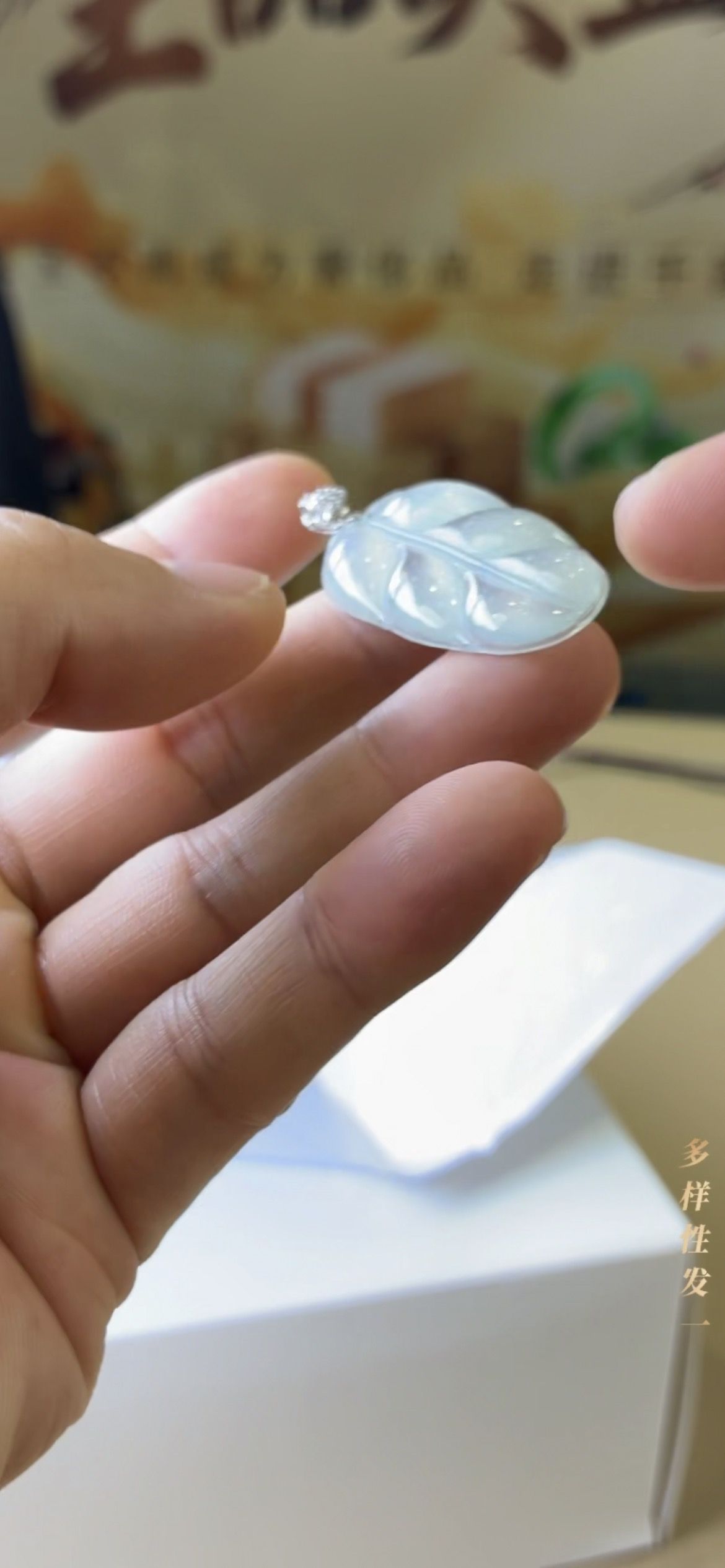 [11.25-一哥精选]翡翠叶子 多样性发一 5