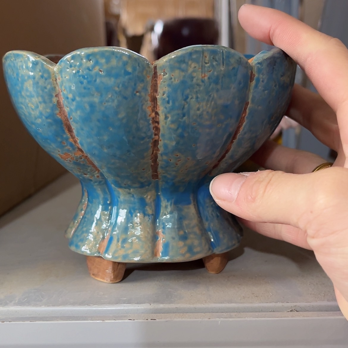 【闪购商品】红陶福利 