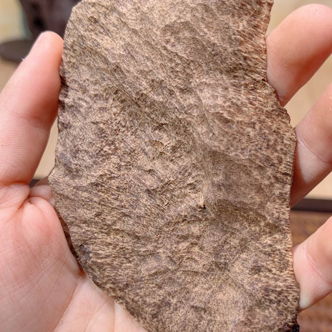 香榧木海南木料尖峰岭包头14克