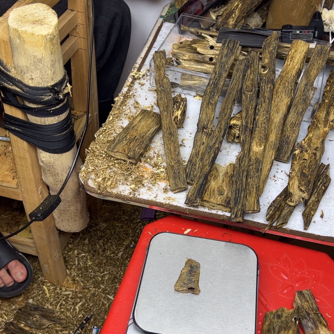 李***浩线香奇楠虫漏香3克