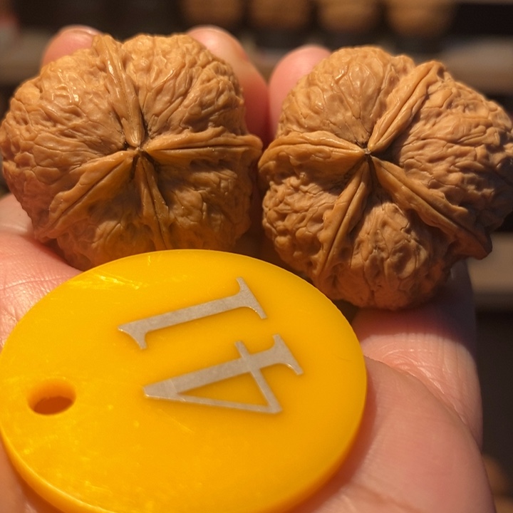 木质类蚂蚁四棱33