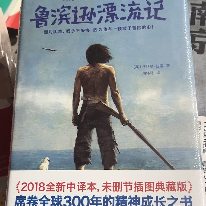 鲁滨逊漂流记全新