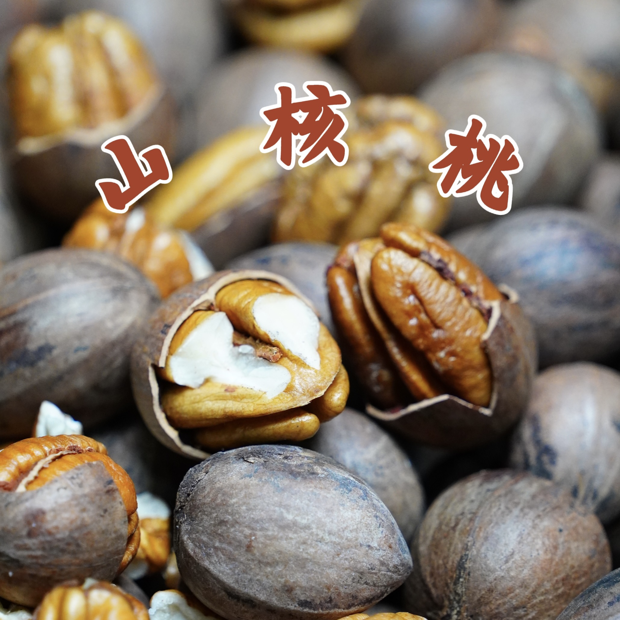 云南特产新鲜晒干原味山核桃碧根果正宗原味碧根果包邮