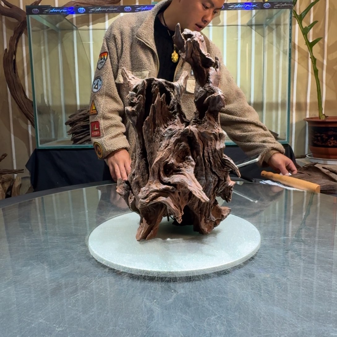 F***L柚木一物一拍鱼缸造景