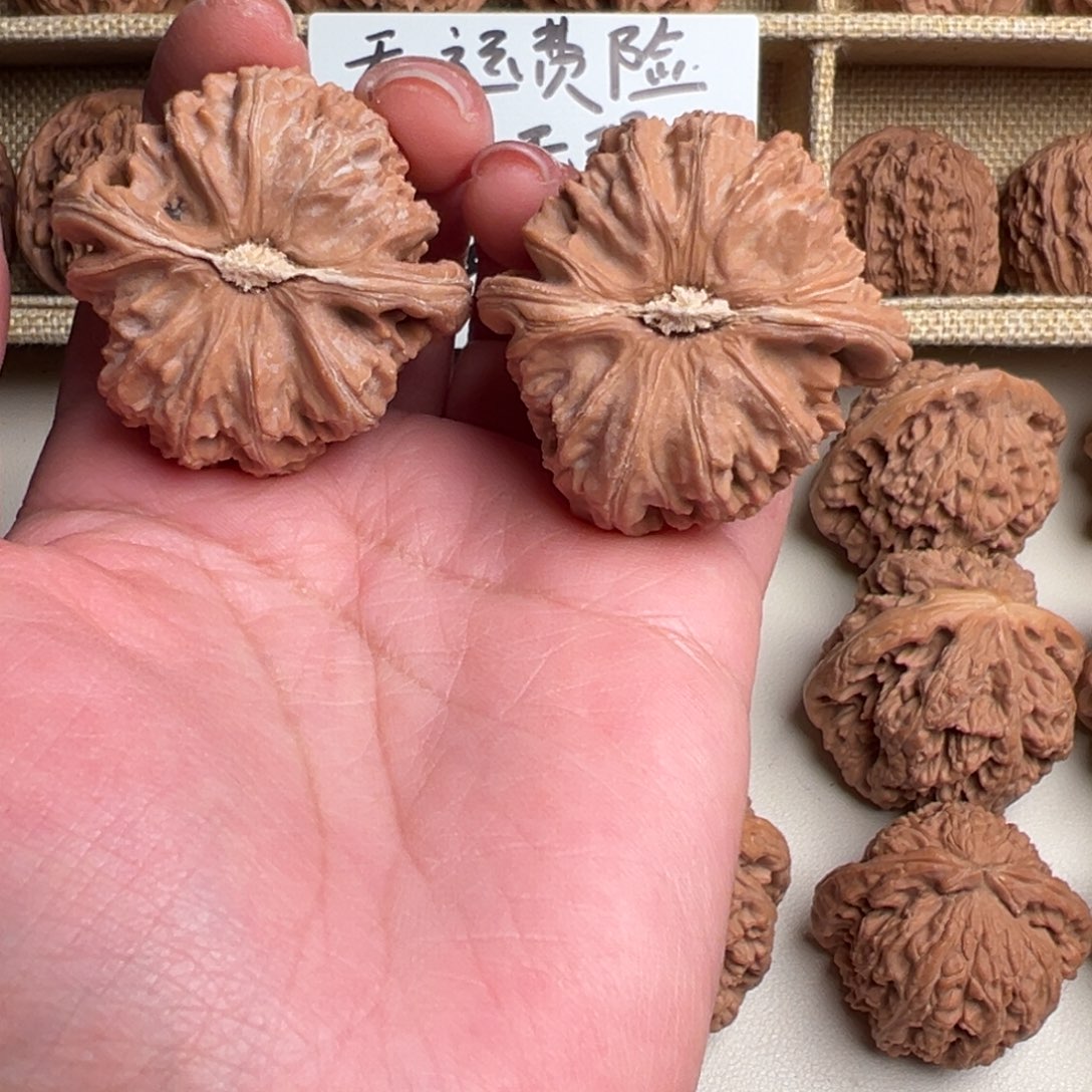 核桃把件烟*色白狮子006号