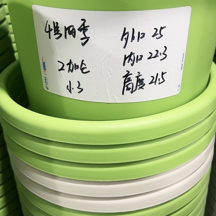 特价4号四季口25高21果绿色8个带托