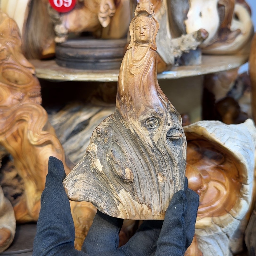 柏木（崖柏）6666666