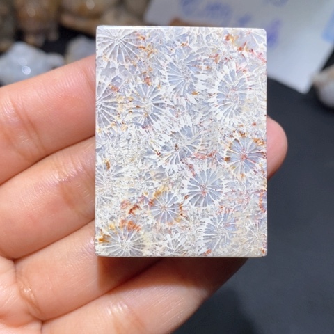 【闪购商品】硅化玉吊坠(不含链)未镶嵌