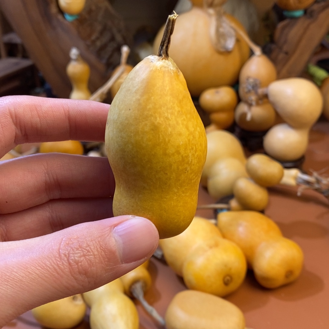 静***艺教练教练教练教练经理