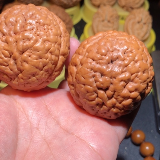 文玩核桃把件゛**.脑纹金刚菩提