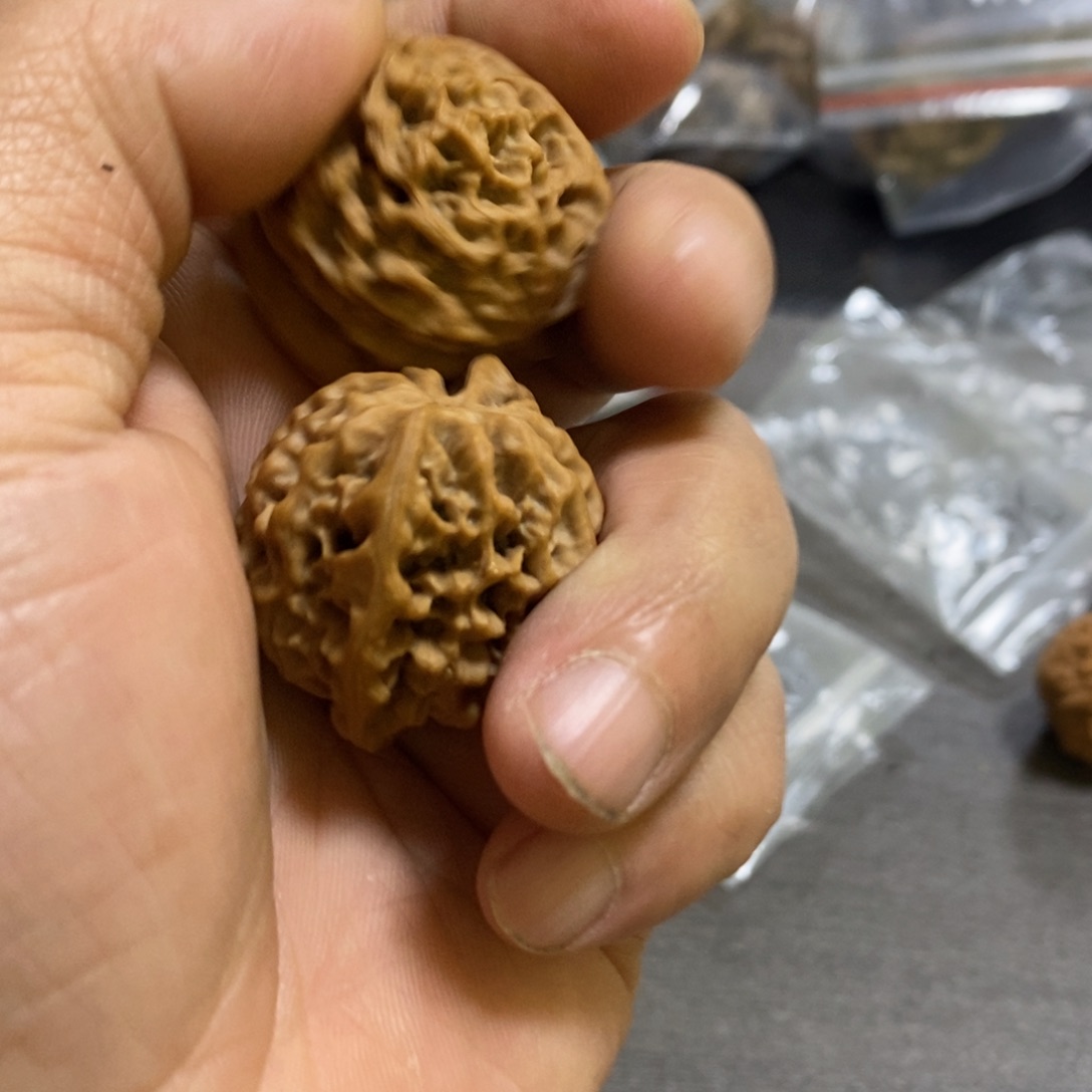 H***O秦岭南侧和东北的秦闷