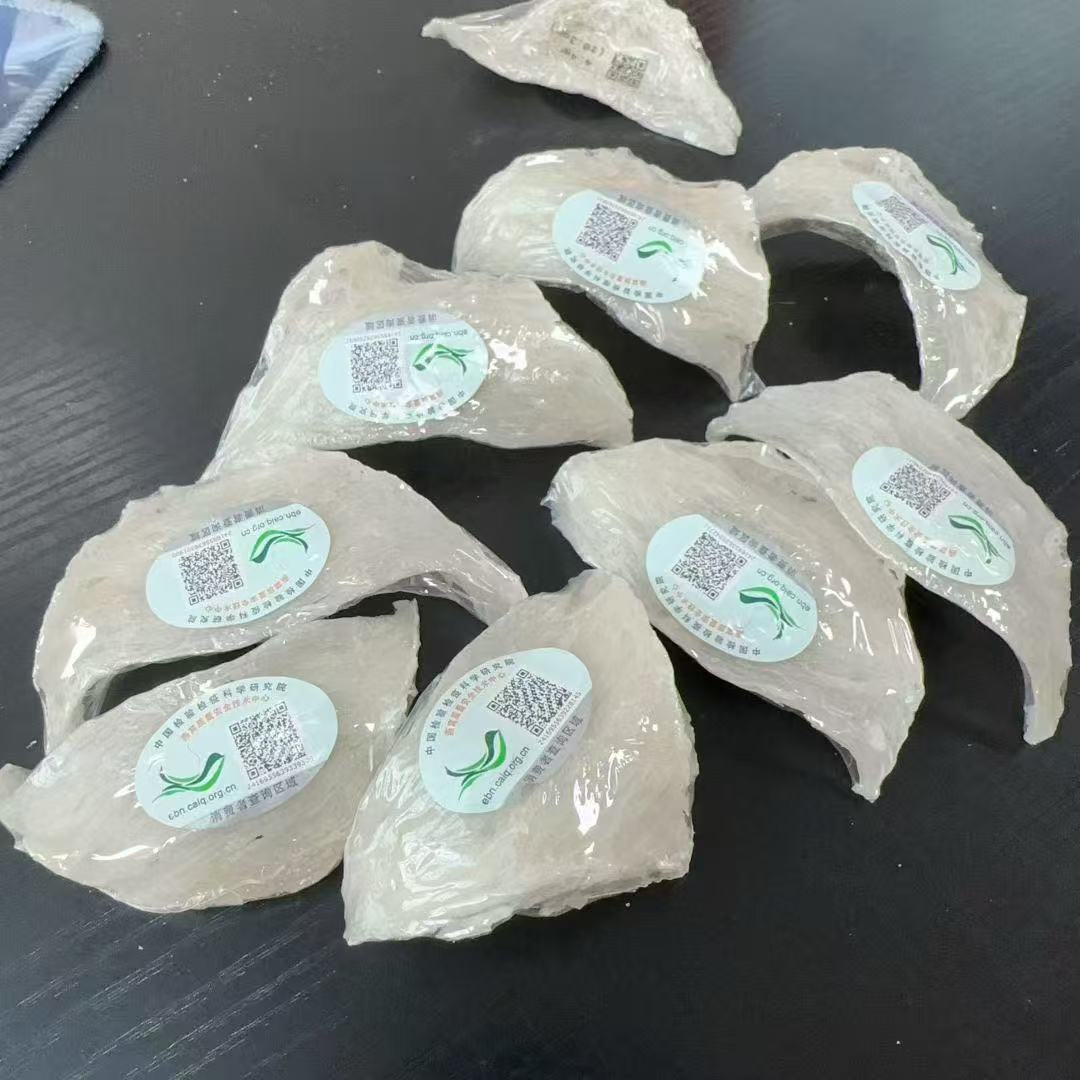 雨季干挑三角盏土豪干挑孕妇燕盏