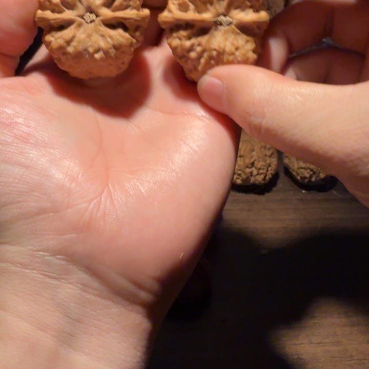 *****文玩核桃把件蛤蟆的眼睛是真的好看啊我的