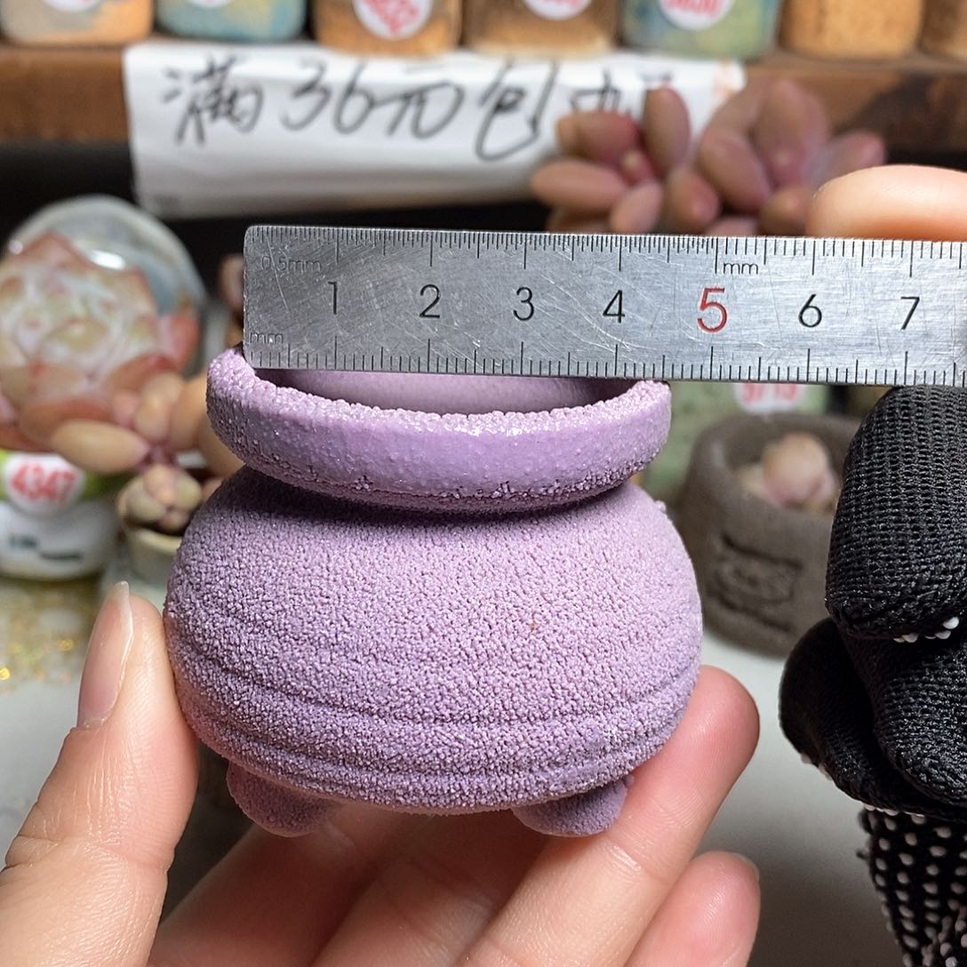 红陶拍5送一个小