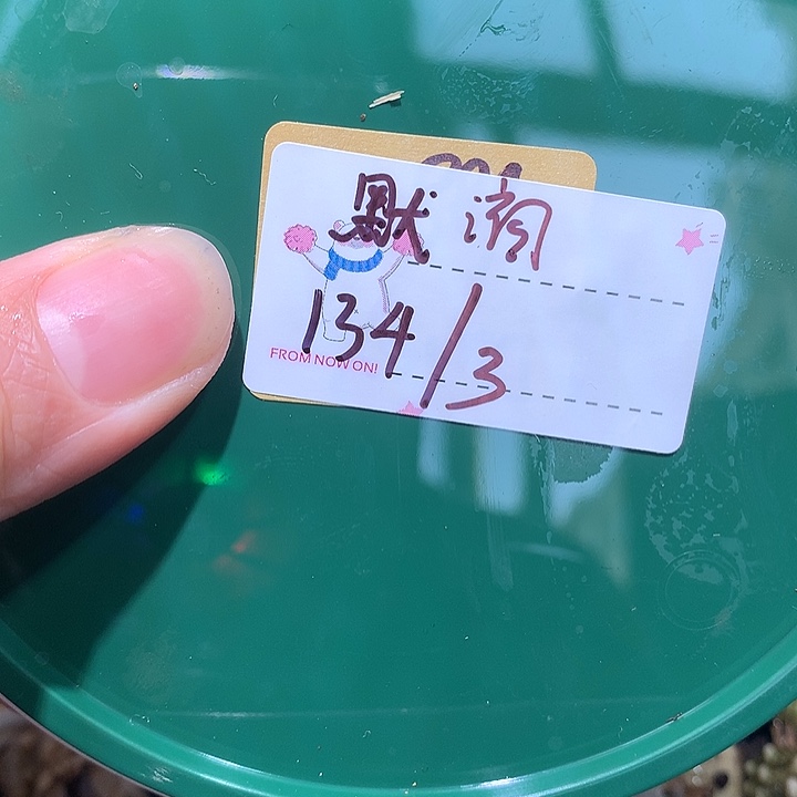 默滴实估专拍奔跑