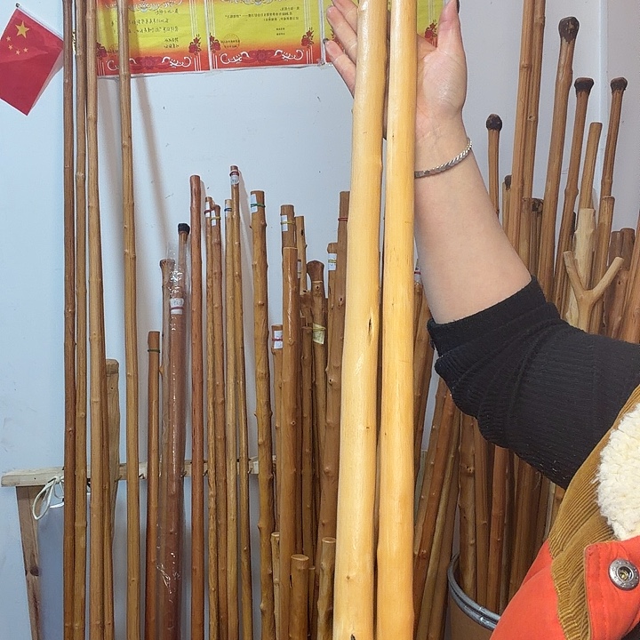 真***诚Sghknvddcbkjgdsfhjngdchkmgdcbj