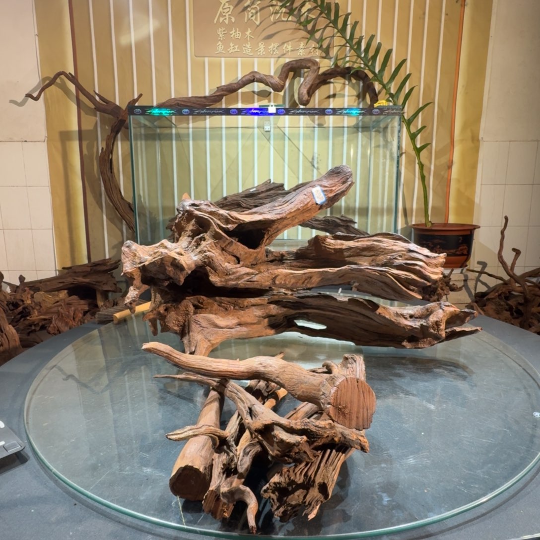 A***n柚木一物一拍鱼缸造景