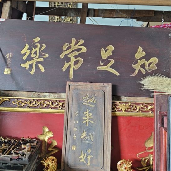 香榧木楠木越来越好，，，，