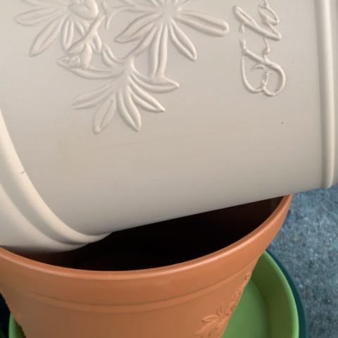 树脂好**见5个大号粉色无托