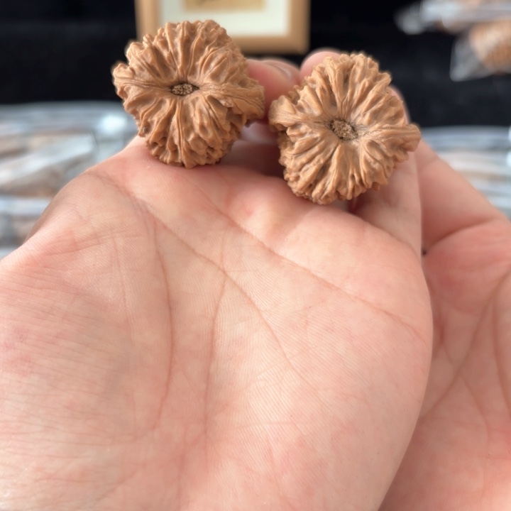文玩核桃吊坠鵠*南将色差