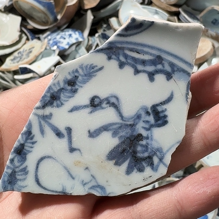 瓷片瓷片标本，顺丰包邮
