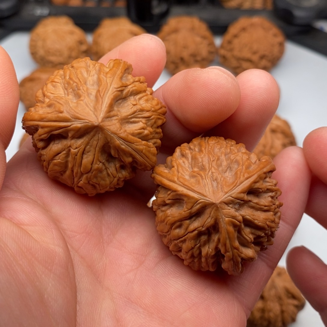 文玩核桃把件38+三棱