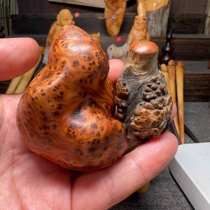 修***·柏木（崖柏）我的小可爱小可爱