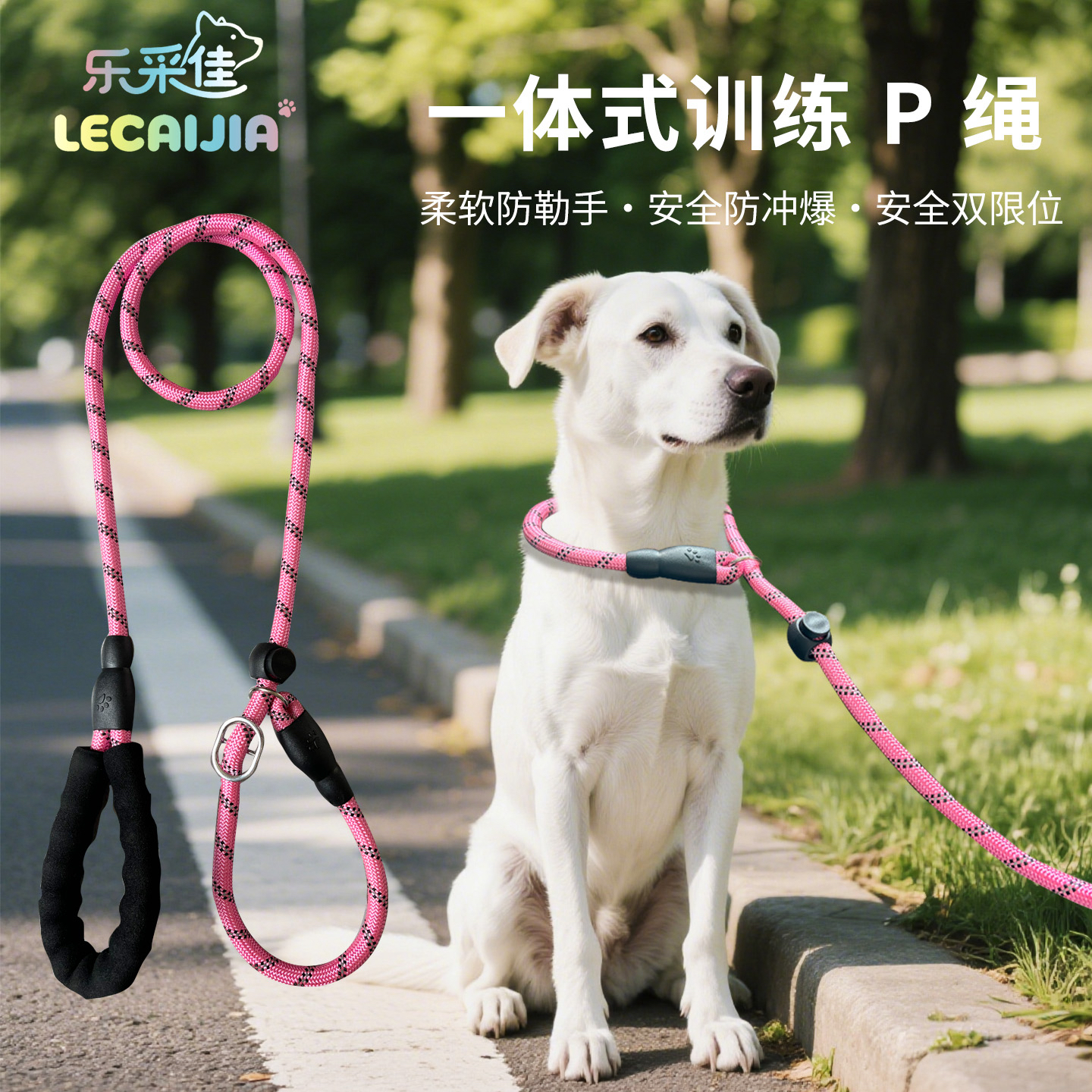 乐采佳牵狗绳中大小型犬遛狗P链p绳加粗加长防爆冲训犬养狗牵引绳