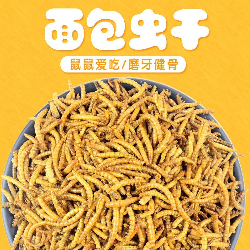 直销仓鼠面包虫干加纳虫新生儿虫宠物零食面包虫谷物