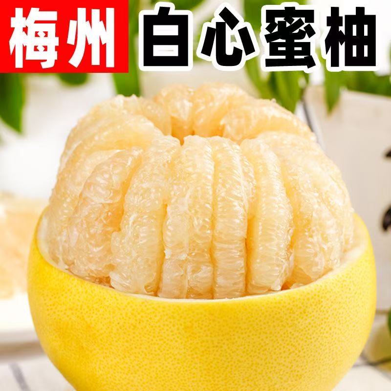 （50斤精选果）广东梅州白心蜜柚酸酸甜甜脆嫩多汁孕妇水果新鲜采摘