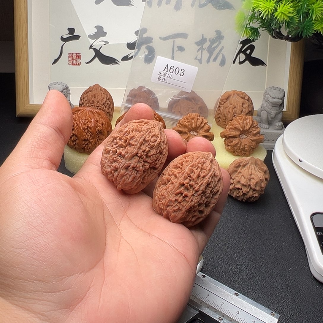 月***）手串/手链核桃A603蒜头35尺全品