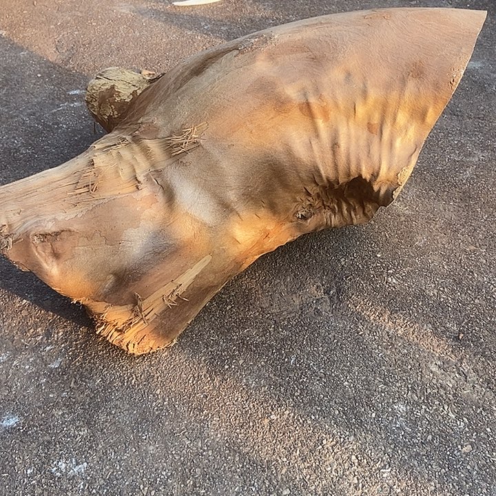 海***u其他楠木（金丝楠）