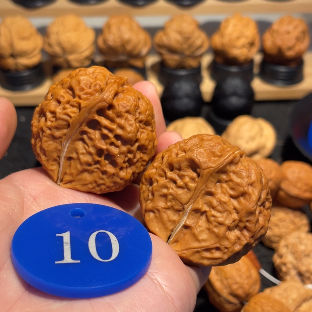 百花半壁江山核桃38。 