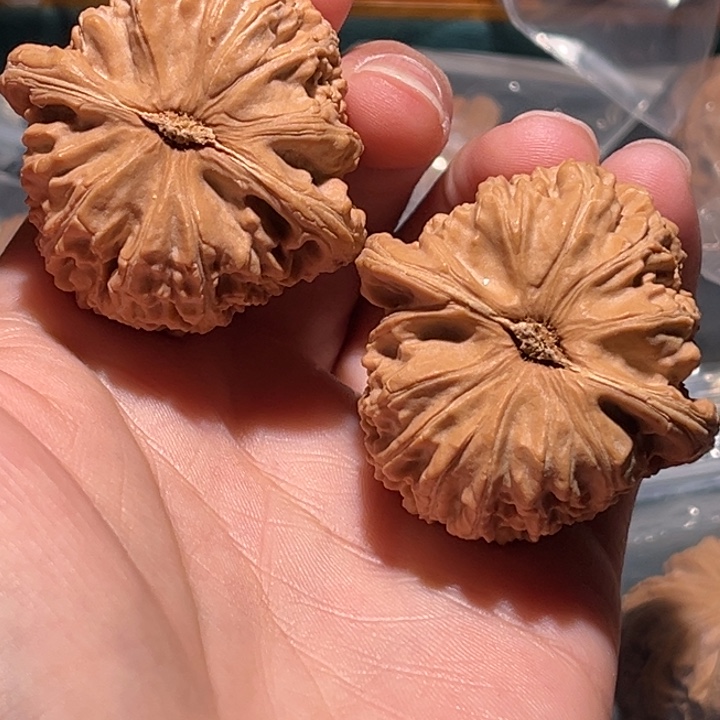 留***k文玩核桃把件41白