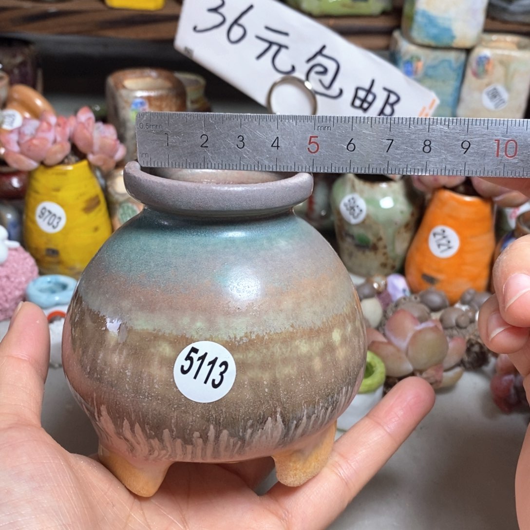 拍5送一个小礼物