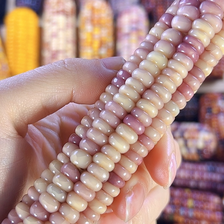 树脂思*亲爱的拍389