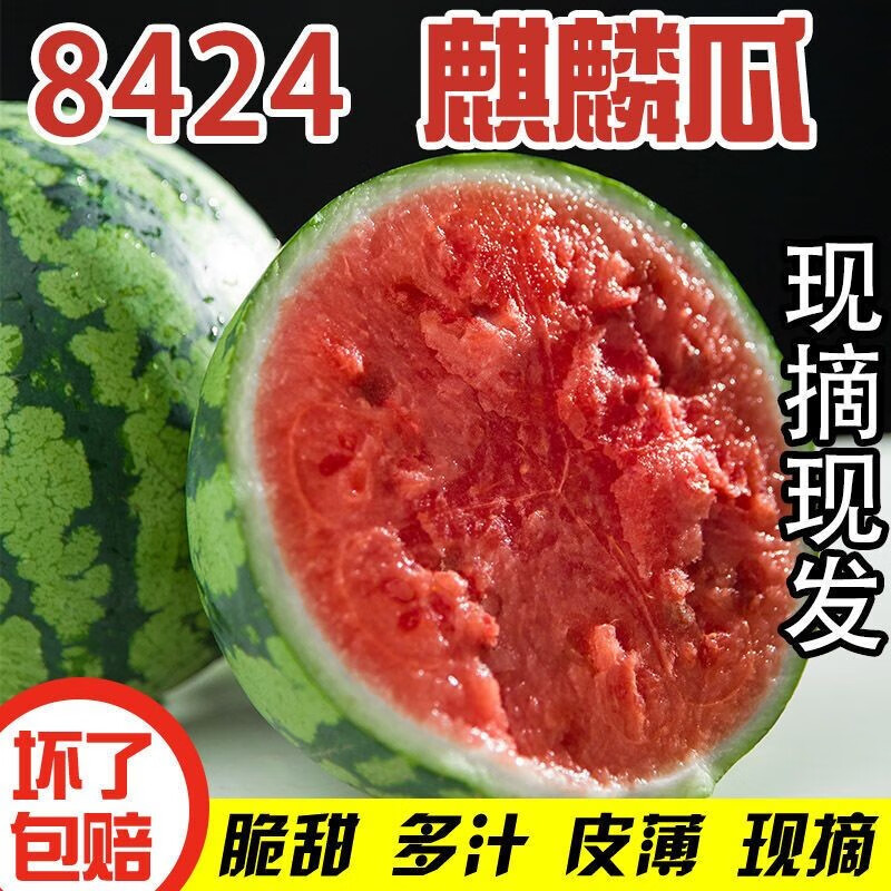 精品美都麒麟西瓜新鲜采摘头茬无籽西瓜农家自种多汁