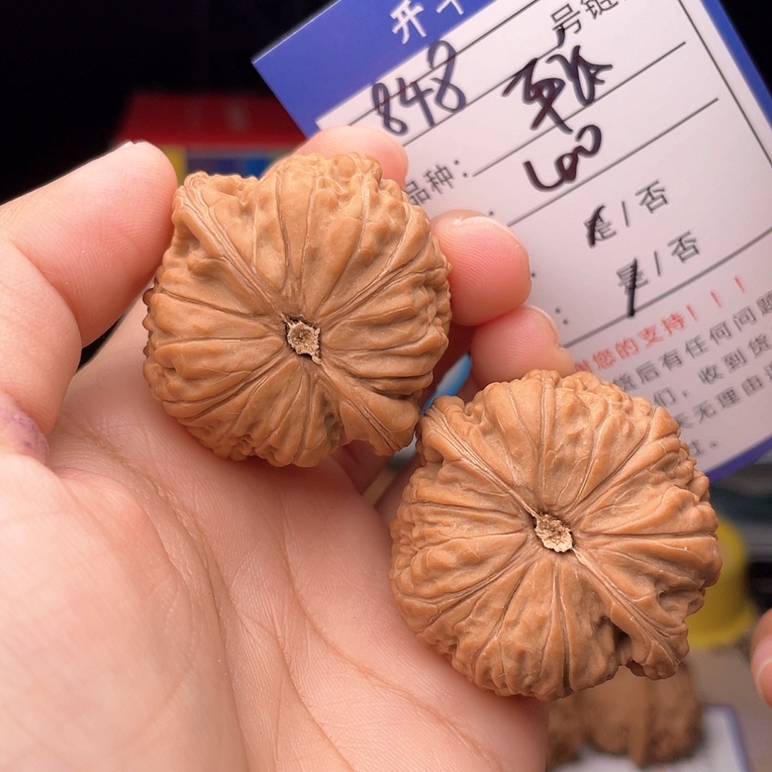 文玩核桃手捻核桃848