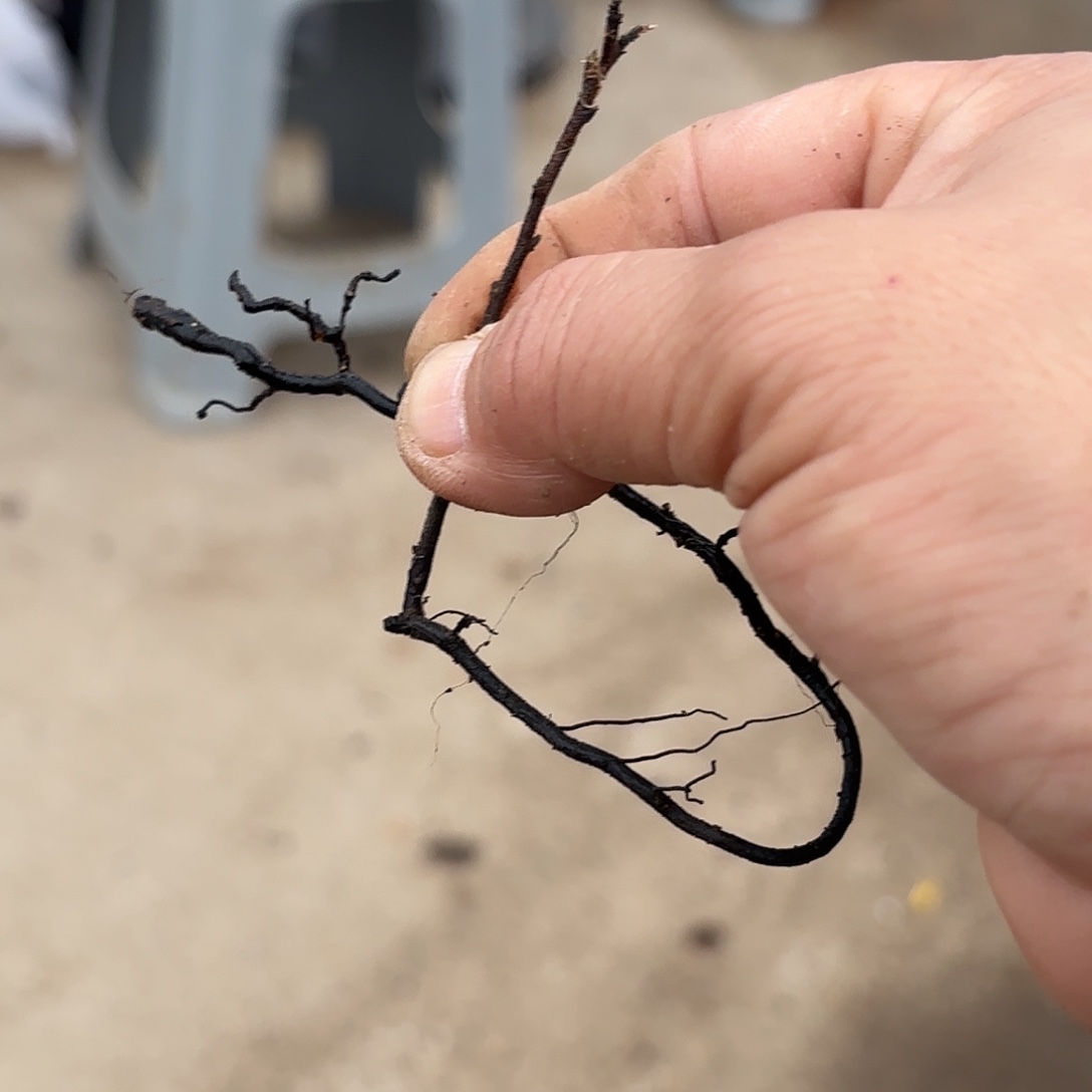 青***志哈哈哈哈哈哈哈哈哈哈