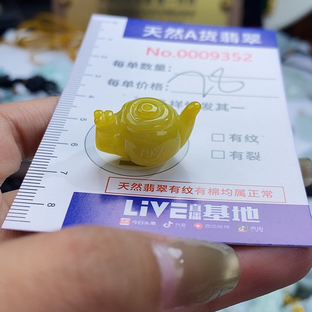翡翠未镶嵌颈饰9352
