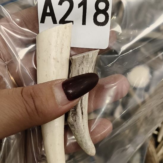 祥***和鹿角鹿角鹿角鹿角鹿角