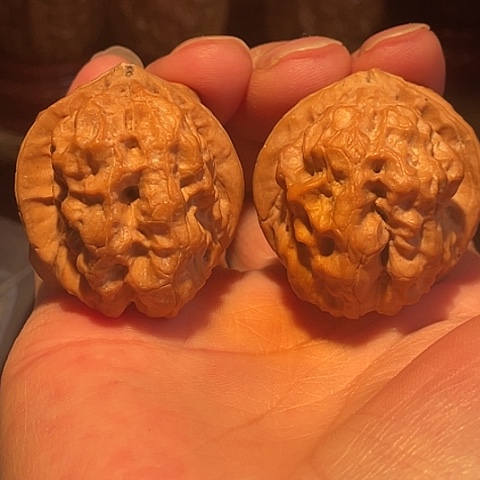 把件文玩核桃金砖舍利带彩磕尖41