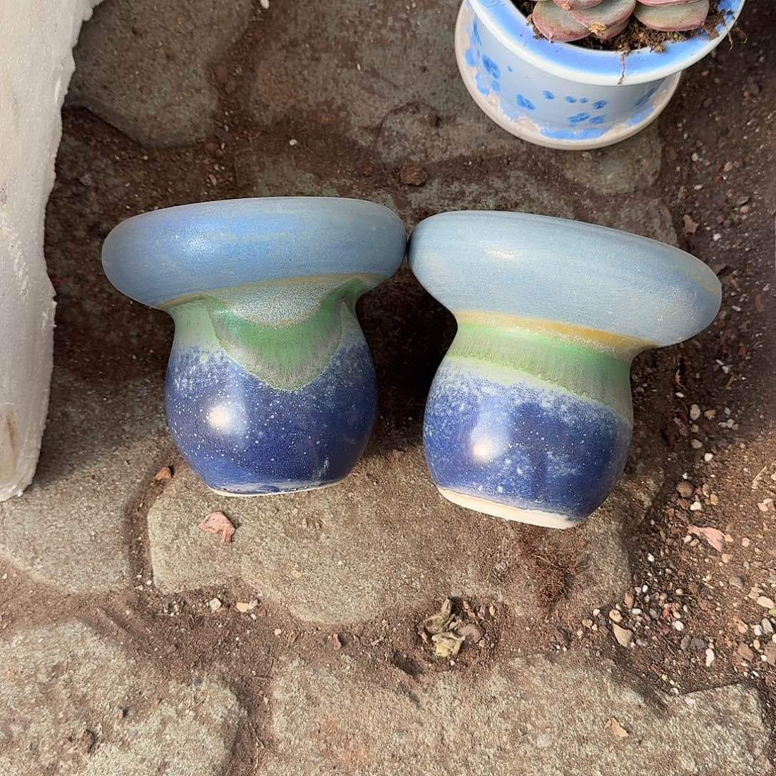 用***5两个鸡腿菇花盆多肉