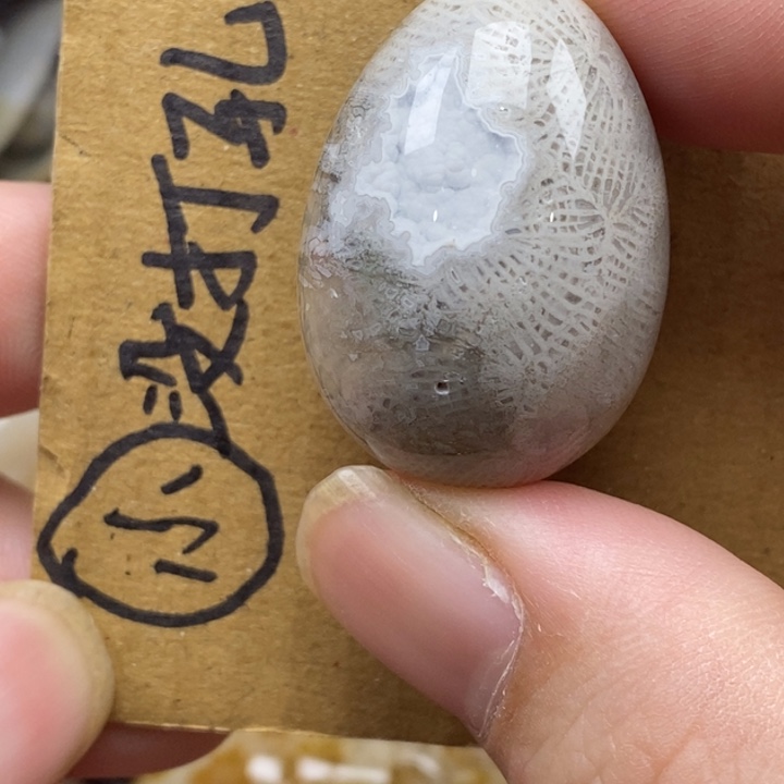 硅化珊瑚（珊瑚玉）未镶嵌颈饰