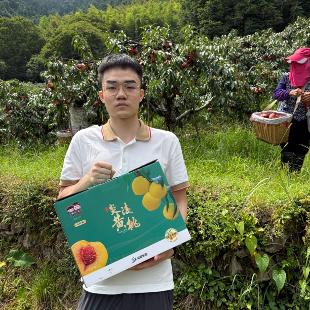 【老何严选】6斤12个正宗炎陵黄桃红心锦绣爆甜脆爽新鲜头果