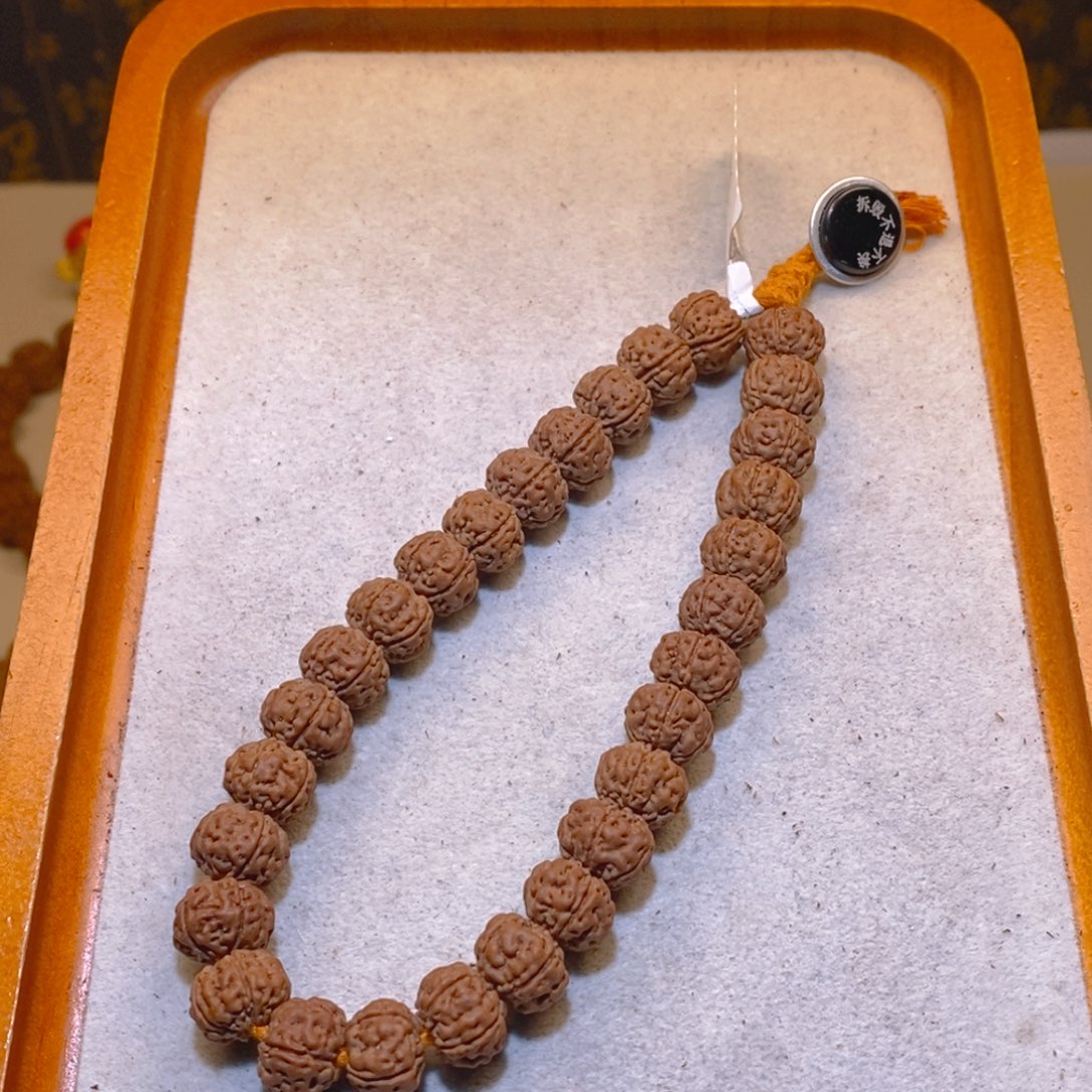 金刚菩提手串勿里达纯血11+