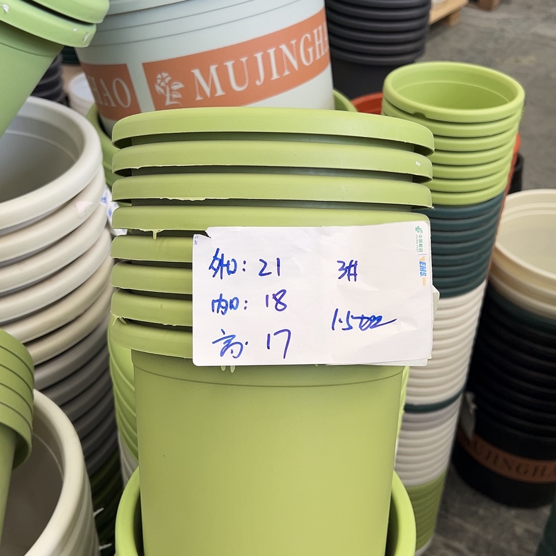 四季盆3#果绿10个无托