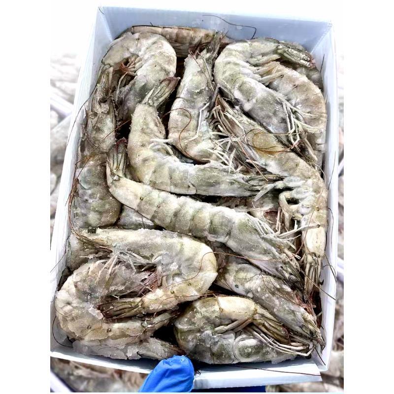速冻海水虾30 - 40规格鲜甜美味