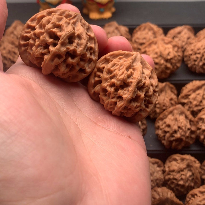 其他核桃秦岭官帽